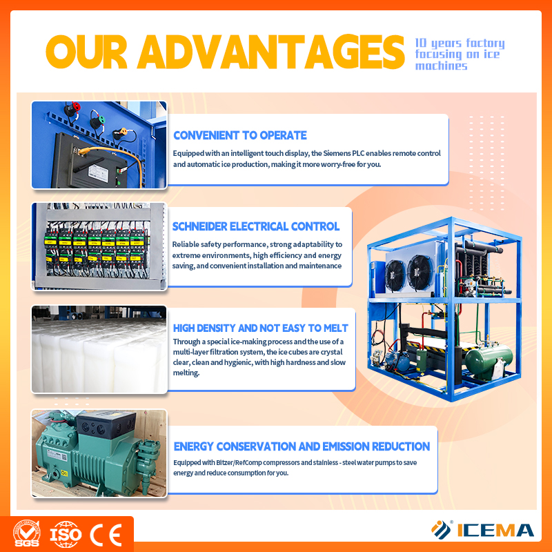 ICEMA Industrial PLC Big Ice B - Food Storage For Long Term avaliação e preço