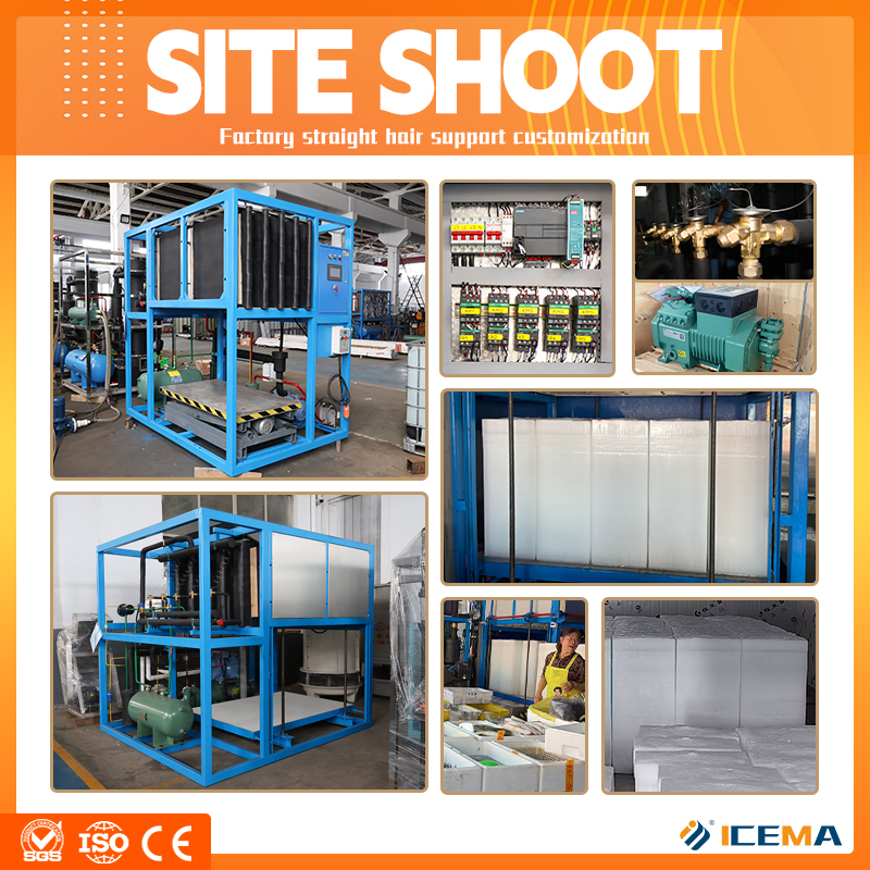 ICEMA Industrial PLC Big Ice B - Food Storage For Long Term avaliação e preço