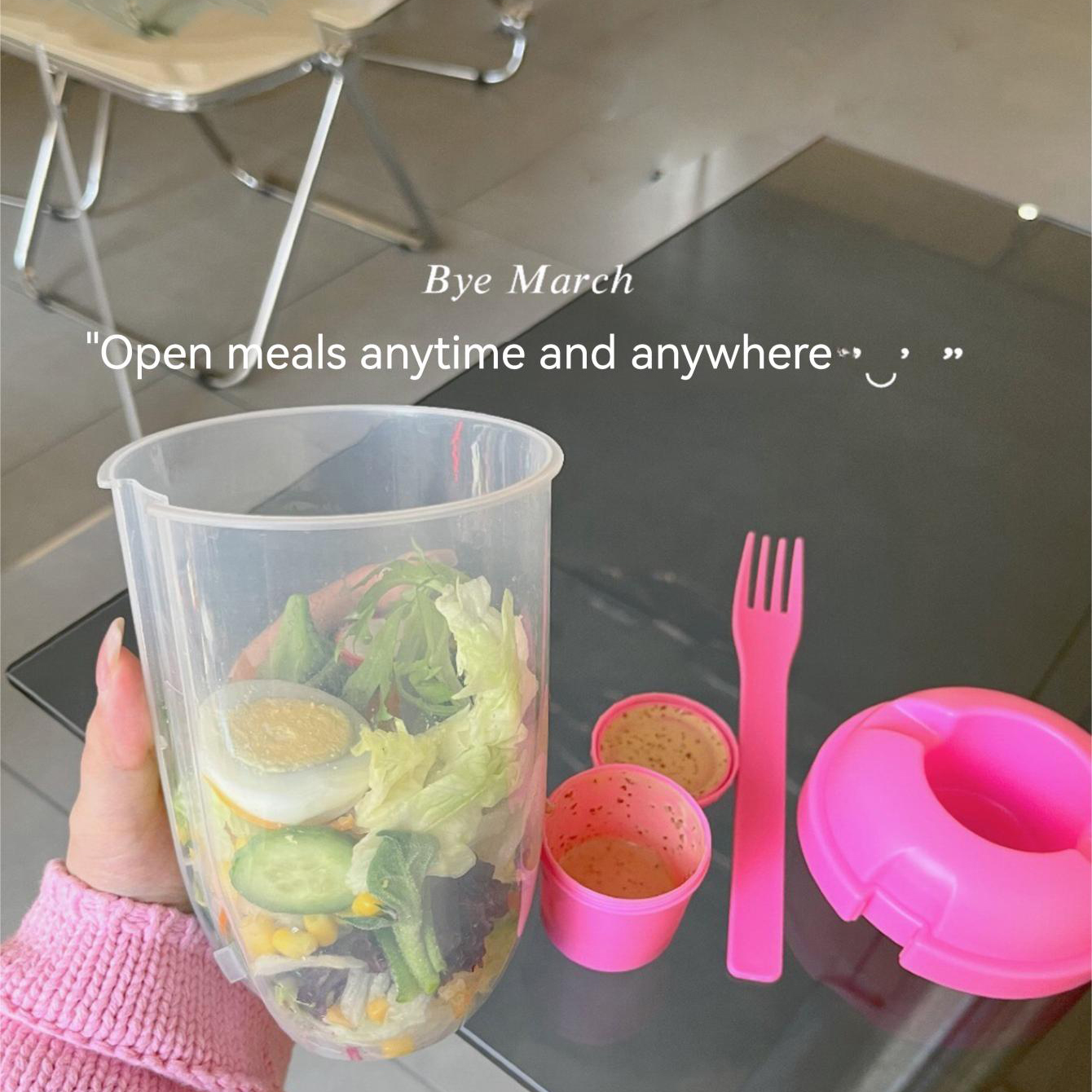 3In1 Portable Salad Cup Breakf - Food Storage Yogurt avaliação e preço