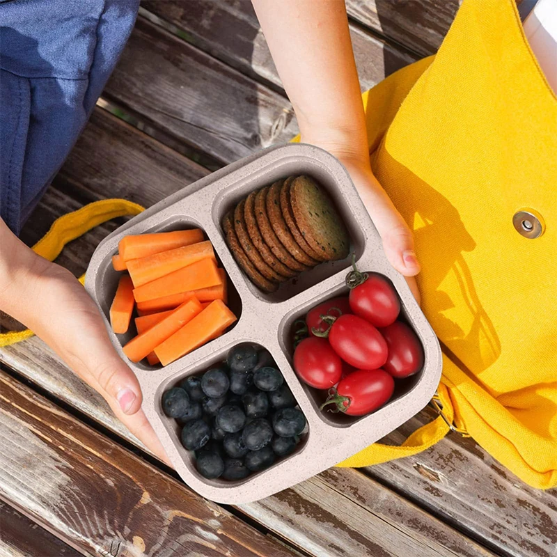 4 Grids Food Storage Box Porta - Food Storage Freezer avaliação e preço