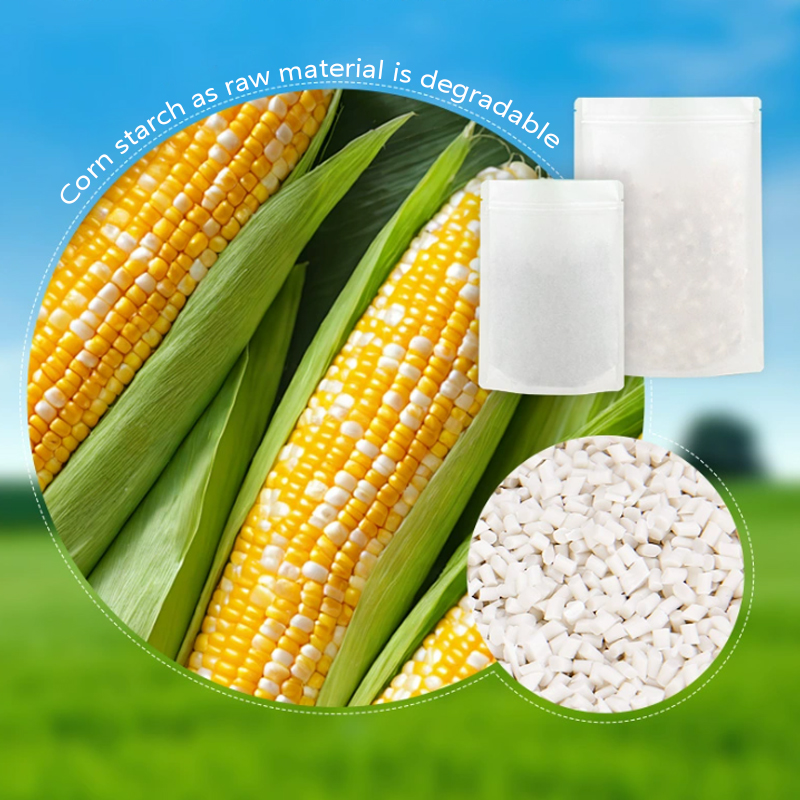 Customized Degradable Kraft Pa - Food Storage Of Plants avaliação e preço