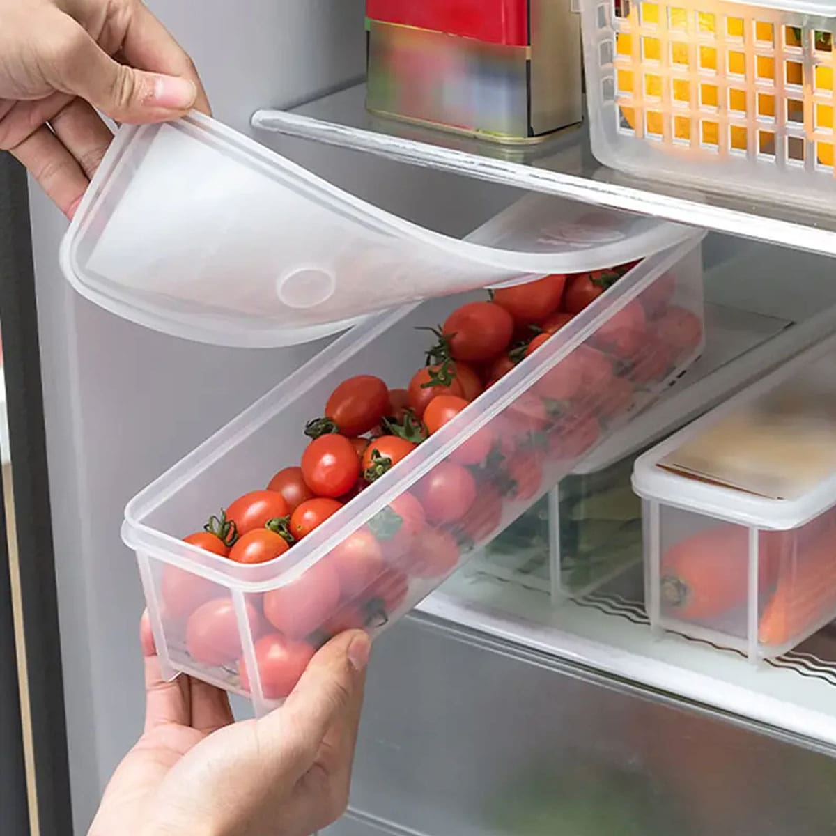 1 Plastic Transparent Storage  - Food Storage Equipment avaliação e preço