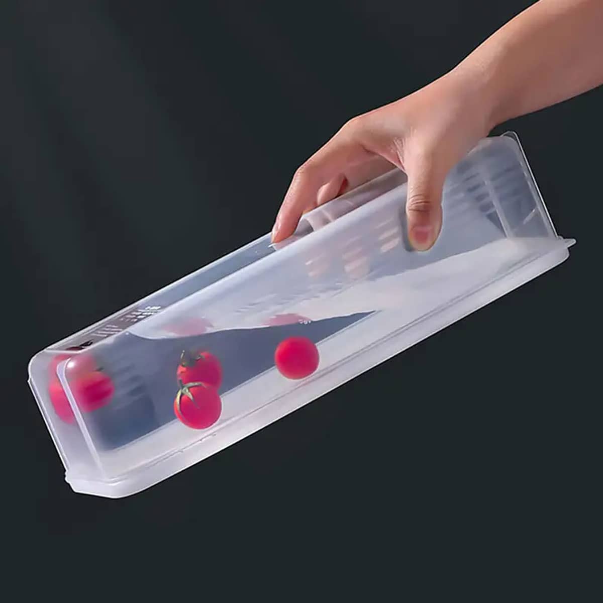 1 Plastic Transparent Storage  - Food Storage Equipment avaliação e preço